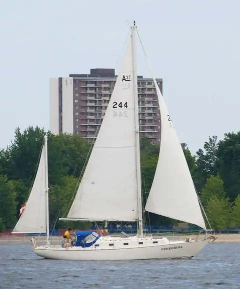 Alberg 37