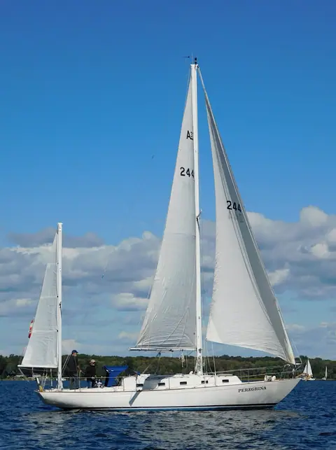 Alberg 37 yawl Peregrina sailing in a fresh breeze