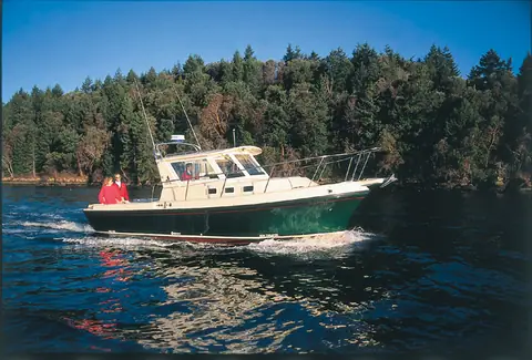 Albin 28 Tournament Express running along a wooded shoreline on calm water