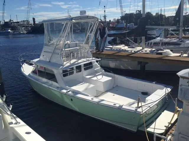 1981 Bertram 31 flybridge model with a light green hull tied up at a dock