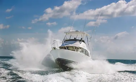 Bertram 35