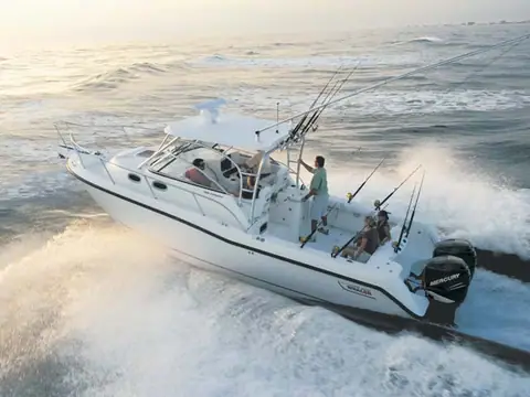 Boston Whaler 305 Conquest
