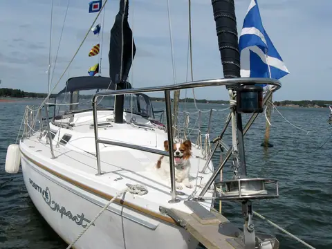 Dog aboard the bow of a Catalina 30 on a mooring