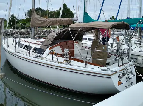 Catalina 36