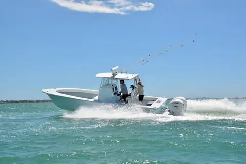 Egret 290 Offshore