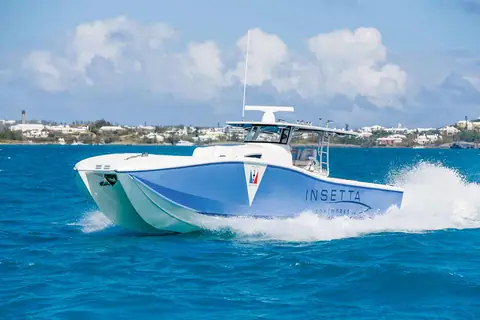 Insetta 45