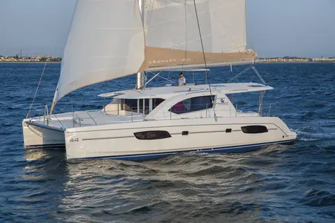 Leopard 44