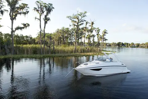 Regal 28 Express with a white hull cruising slowly on a river lined with cypress trees