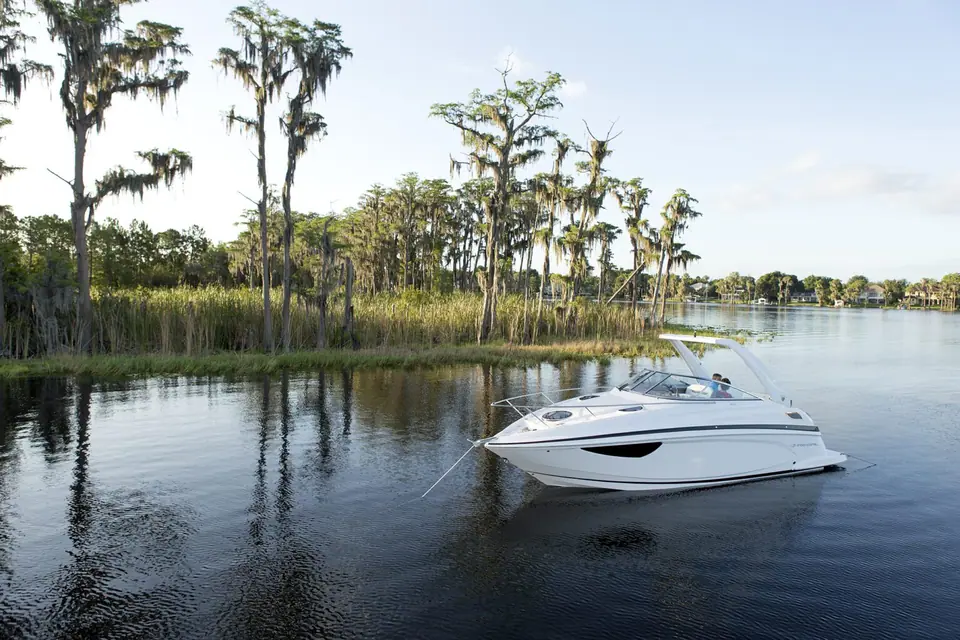 Regal 28 Express with a white hull cruising slowly on a river lined with cypress trees