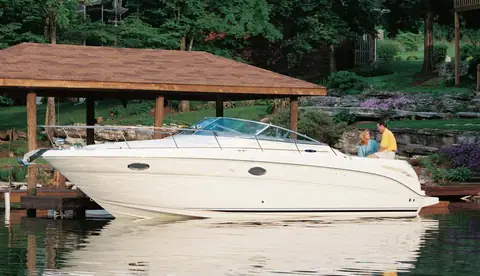 Sea Ray 290 Amberjack