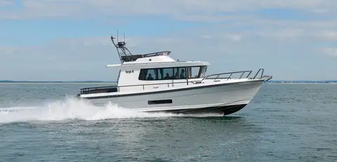 Targa 41